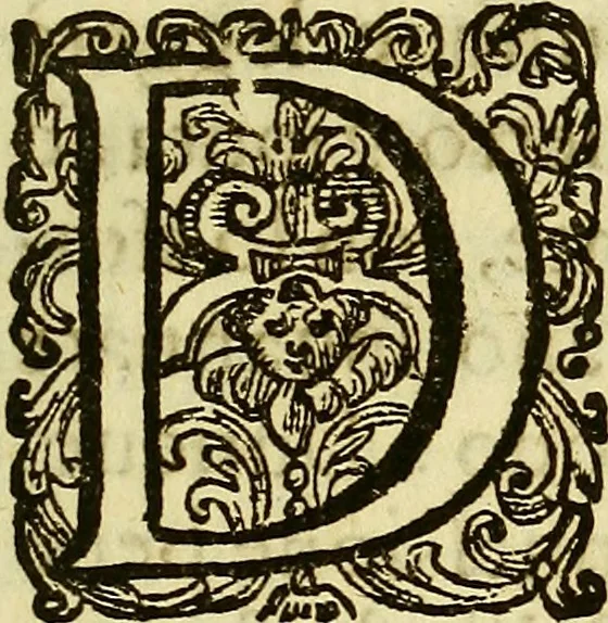 An illustration from Istorica descrittione de' tre regni Congo, Matamba, et Angola : situati nell'Etiopia inferiore occidentale e delle missioni apostoliche esercitateui da religiosi Capuccini, 1690, leaf 8
