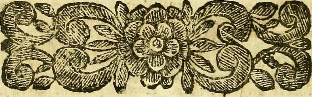 An illustration from Istorica descrittione de' tre regni Congo, Matamba, et Angola : situati nell'Etiopia inferiore occidentale e delle missioni apostoliche esercitateui da religiosi Capuccini, 1690, leaf 807