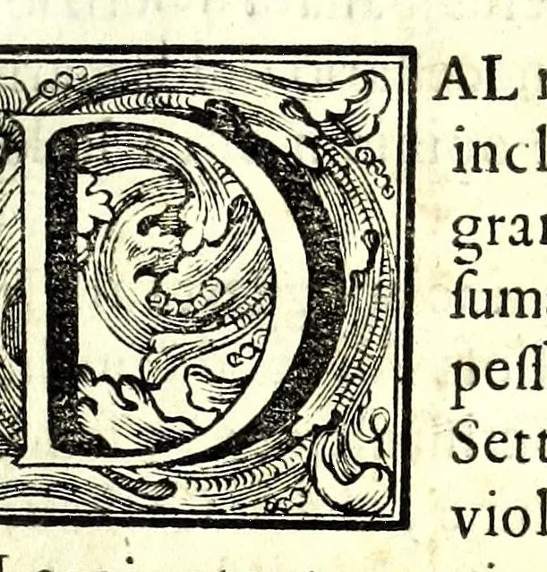 An illustration from Istorica descrizione de' tre' regni Congo, Matamba et Angola : situati nell'Etiopia inferiore occidentale e delle missioni apostoliche esercitateui da religiosi Capuccini, 1687, leaf 221