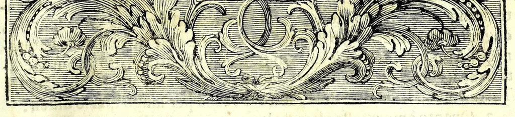 An illustration from Istorica descrizione de' tre' regni Congo, Matamba et Angola : situati nell'Etiopia inferiore occidentale e delle missioni apostoliche esercitateui da religiosi Capuccini, 1687, leaf 25