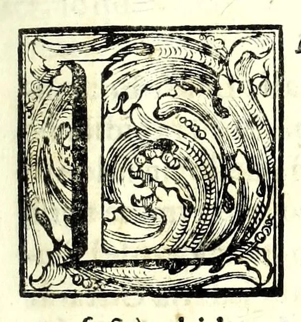 An illustration from Istorica descrizione de' tre' regni Congo, Matamba et Angola : situati nell'Etiopia inferiore occidentale e delle missioni apostoliche esercitateui da religiosi Capuccini, 1687, leaf 25