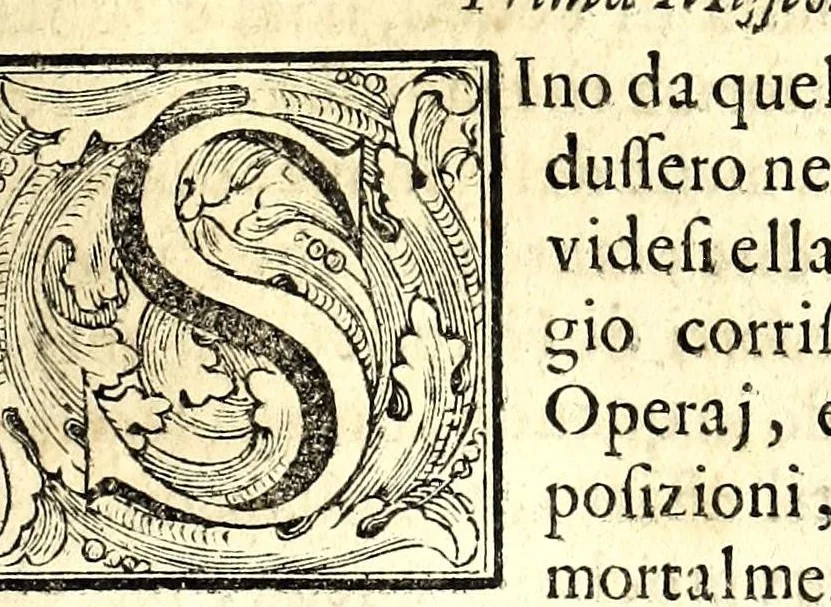 An illustration from Istorica descrizione de' tre' regni Congo, Matamba et Angola : situati nell'Etiopia inferiore occidentale e delle missioni apostoliche esercitateui da religiosi Capuccini, 1687, leaf 341