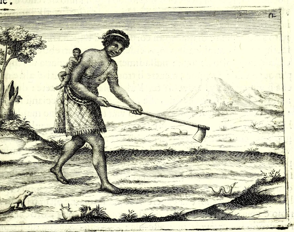 An illustration from Istorica descrizione de' tre' regni Congo, Matamba et Angola : situati nell'Etiopia inferiore occidentale e delle missioni apostoliche esercitateui da religiosi Capuccini, 1687, leaf 51