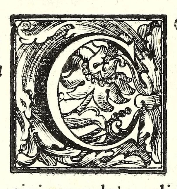 An illustration from Istorica descrizione de' tre' regni Congo, Matamba et Angola : situati nell'Etiopia inferiore occidentale e delle missioni apostoliche esercitateui da religiosi Capuccini, 1687, leaf 570