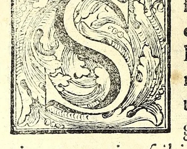 An illustration from Istorica descrizione de' tre' regni Congo, Matamba et Angola : situati nell'Etiopia inferiore occidentale e delle missioni apostoliche esercitateui da religiosi Capuccini, 1687, leaf 784