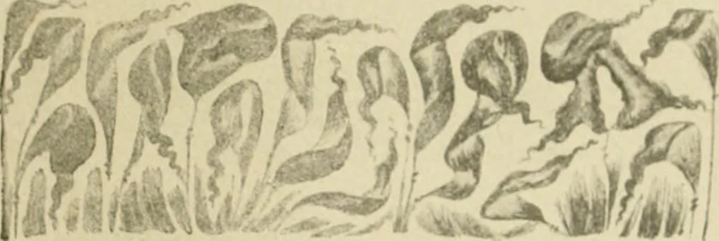 An illustration from Istoricheske ocherki po russkomu ornamentu v rukopisiakh, 1917, leaf 192