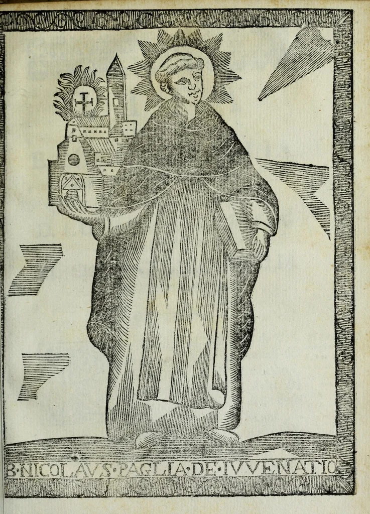 An illustration from Istorie della città di Giouenazzo, 1700, leaf 343