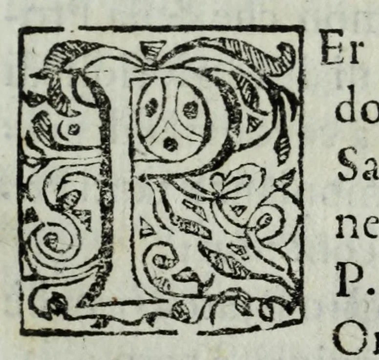 An illustration from Istorie della città di Giouenazzo, 1700, leaf 345