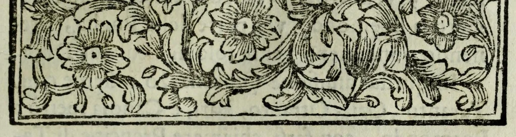 An illustration from Istorie della città di Giouenazzo, 1700, leaf 65