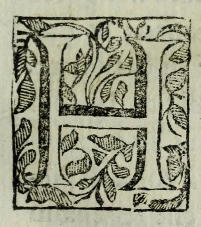 An illustration from Istorie della città di Giouenazzo, 1700, leaf 65