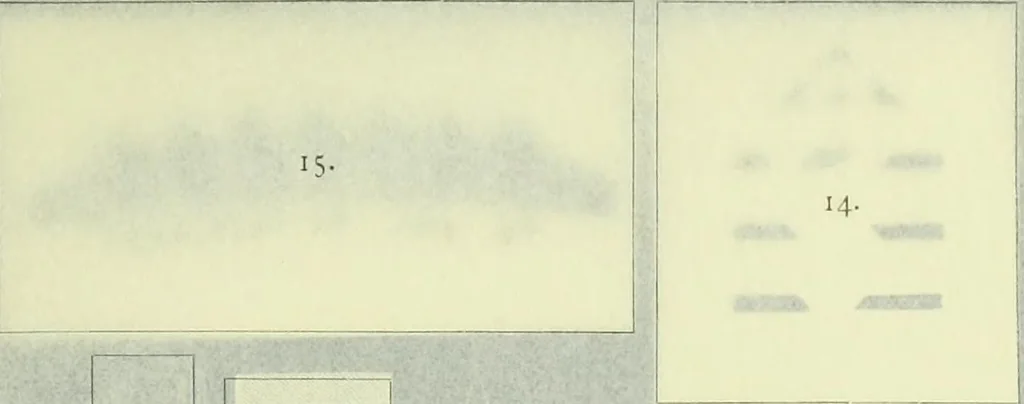 An illustration from Istoriia knigi Vizantiiskiia emali A.B. Zvenigorodskago, 1898, leaf 284
