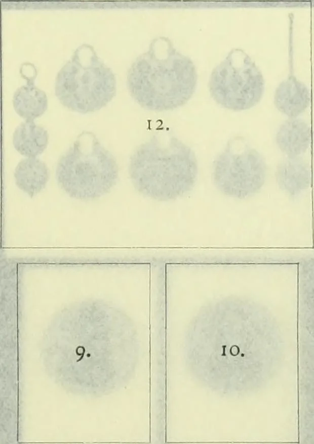 An illustration from Istoriia knigi Vizantiiskiia emali A.B. Zvenigorodskago, 1898, leaf 284