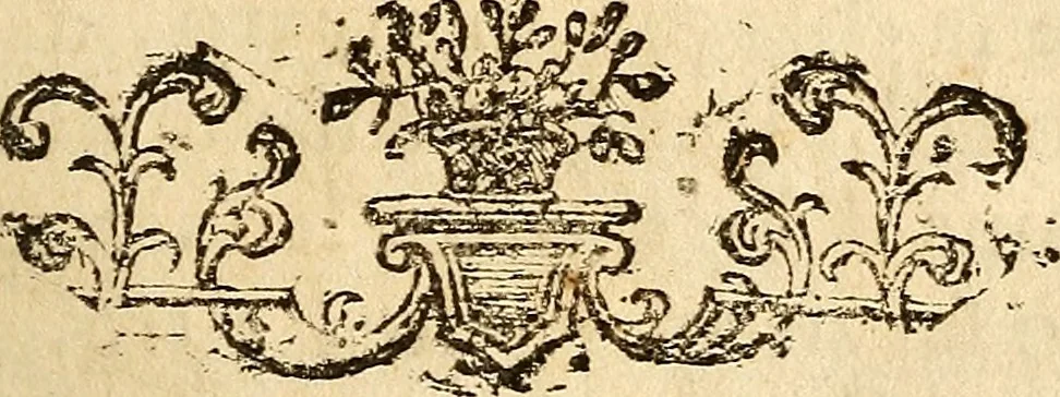 An illustration from Istruzioni necessarie per chi volesse imparare il giuoco dilettevole delli tarocchini di Bologna, 1754, leaf 34