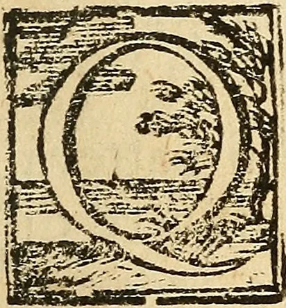 An illustration from Istruzioni necessarie per chi volesse imparare il giuoco dilettevole delli tarocchini di Bologna, 1754, leaf 8