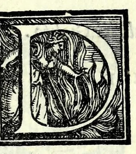 An illustration from I svppositi : comedia, 1551, leaf 11