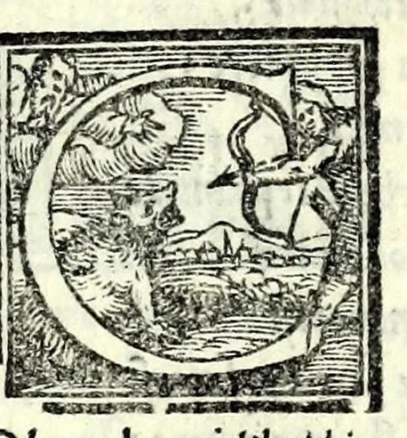 An illustration from I svppositi : comedia, 1551, leaf 13