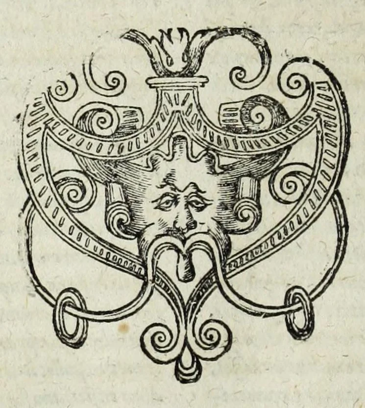 An illustration from Italiae illvstratae, sev, Rervm, vrbivmqve italicarvm scriptores varii, notae melioris. Nunc primum collecti simulque editi. Nomina scriptorum tertia pagina ostendet, 1600, leaf 332