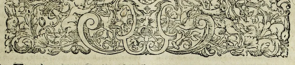 An illustration from Italiae illvstratae, sev, Rervm, vrbivmqve italicarvm scriptores varii, notae melioris. Nunc primum collecti simulque editi. Nomina scriptorum tertia pagina ostendet, 1600, leaf 333