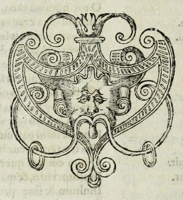 An illustration from Italiae illvstratae, sev, Rervm, vrbivmqve italicarvm scriptores varii, notae melioris. Nunc primum collecti simulque editi. Nomina scriptorum tertia pagina ostendet, 1600, leaf 380