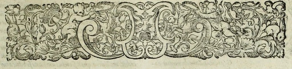 An illustration from Italiae illvstratae, sev, Rervm, vrbivmqve italicarvm scriptores varii, notae melioris. Nunc primum collecti simulque editi. Nomina scriptorum tertia pagina ostendet, 1600, leaf 381
