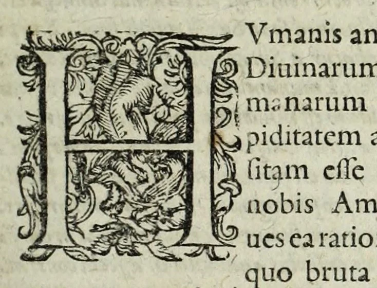 An illustration from Italiae illvstratae, sev, Rervm, vrbivmqve italicarvm scriptores varii, notae melioris. Nunc primum collecti simulque editi. Nomina scriptorum tertia pagina ostendet, 1600, leaf 381