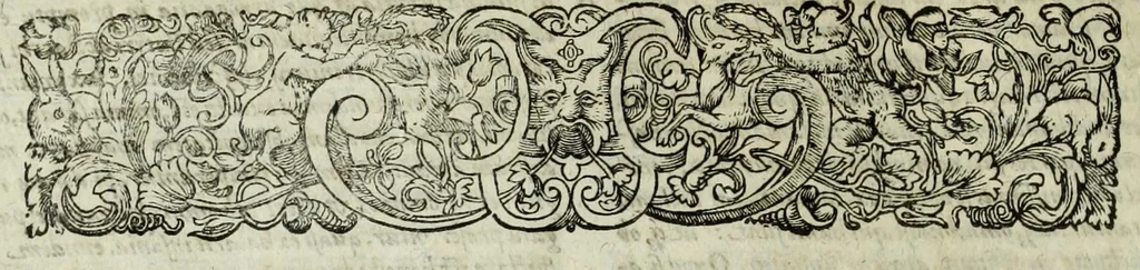 An illustration from Italiae illvstratae, sev, Rervm, vrbivmqve italicarvm scriptores varii, notae melioris. Nunc primum collecti simulque editi. Nomina scriptorum tertia pagina ostendet, 1600, leaf 504