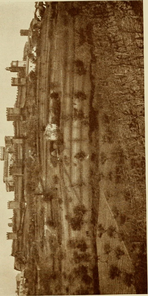 An illustration from Italian castles and country seats, 1911, leaf 108