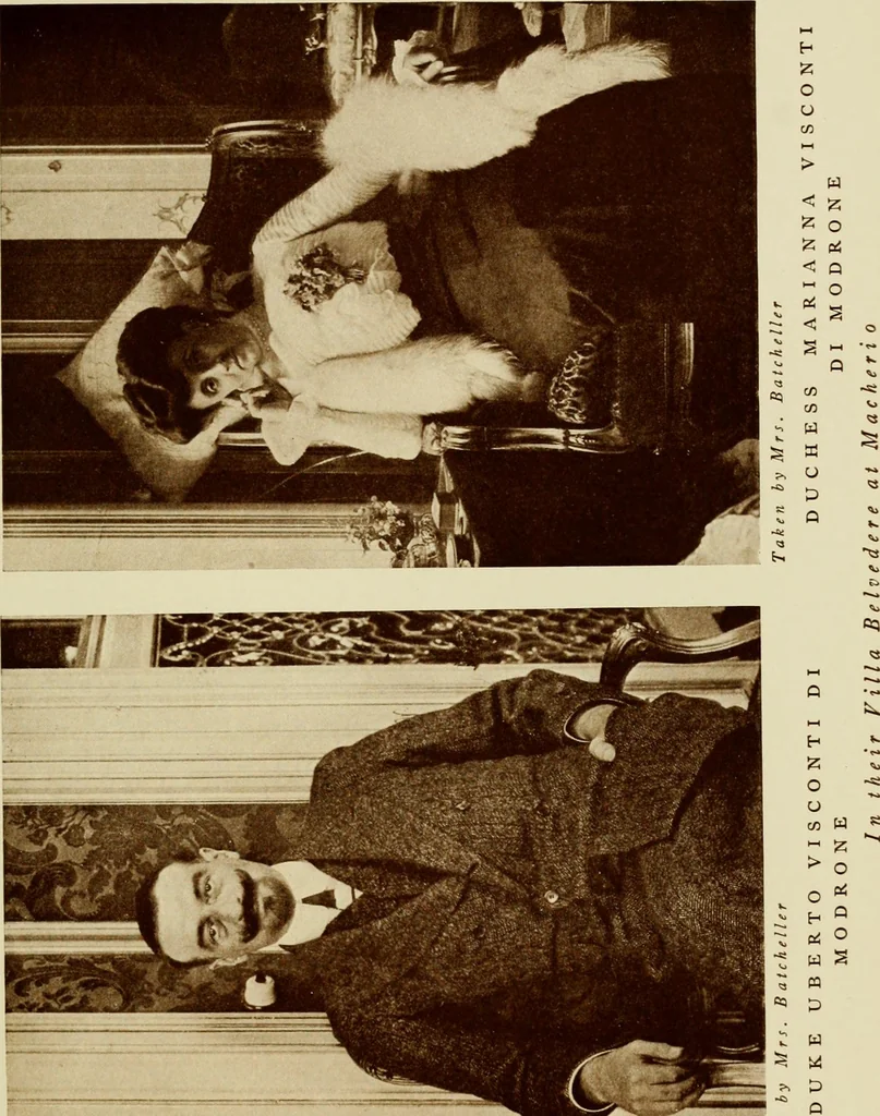 An illustration from Italian castles and country seats, 1911, leaf 134