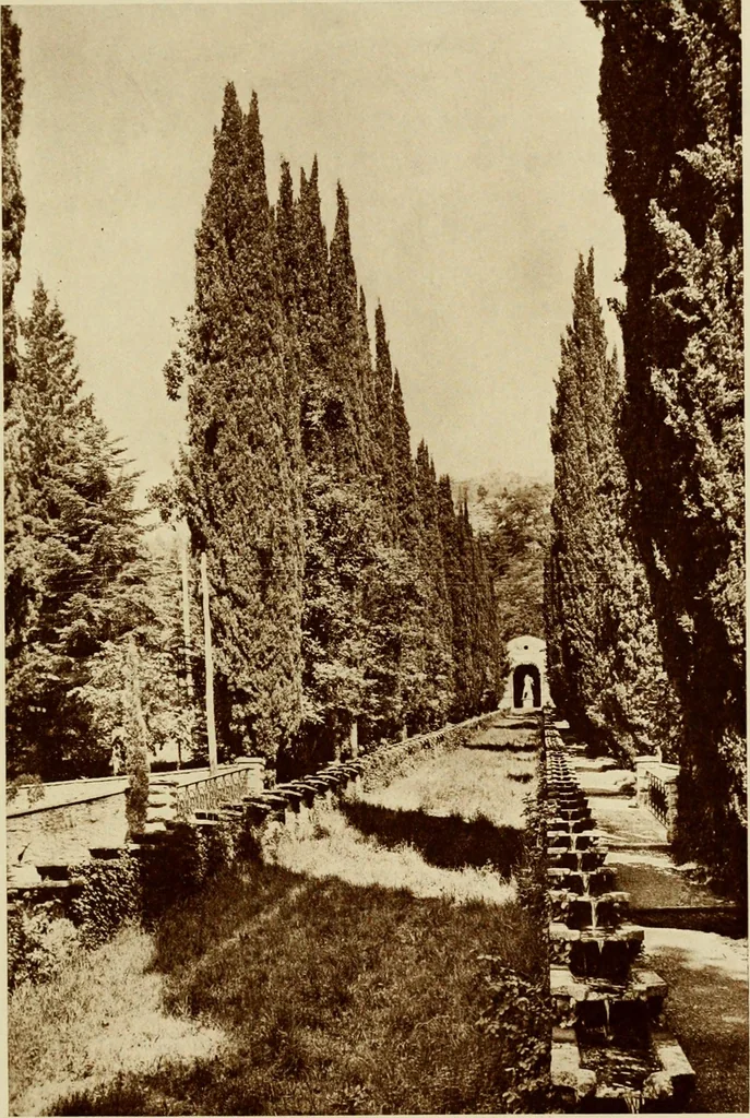 An illustration from Italian castles and country seats, 1911, leaf 264