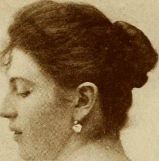 An illustration from Italian castles and country seats, 1911, leaf 490