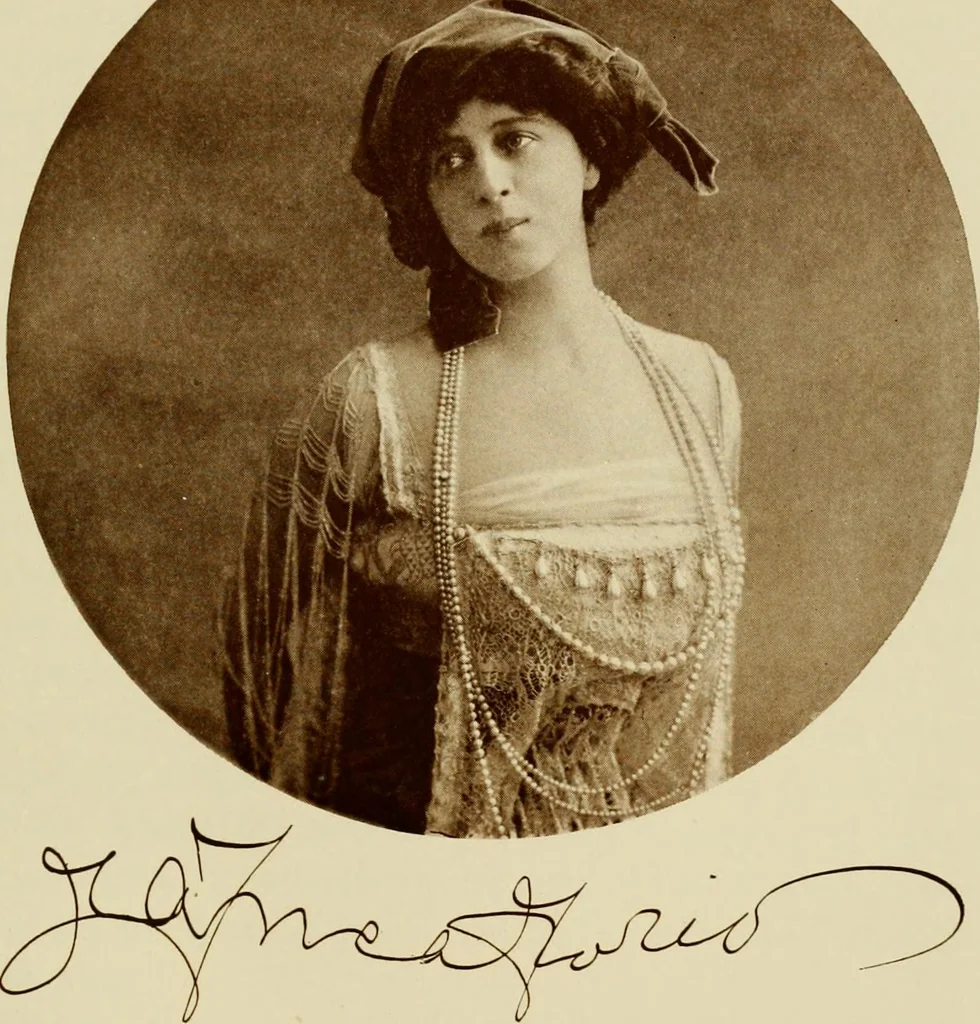 An illustration from Italian castles and country seats, 1911, leaf 646