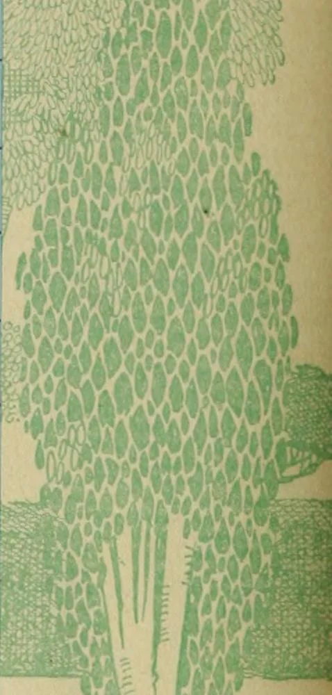 An illustration from Italian castles and country seats, 1911, leaf 709