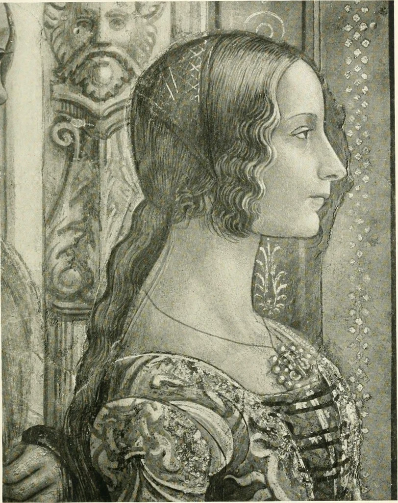 An illustration from Italian cities, 1903, leaf 256
