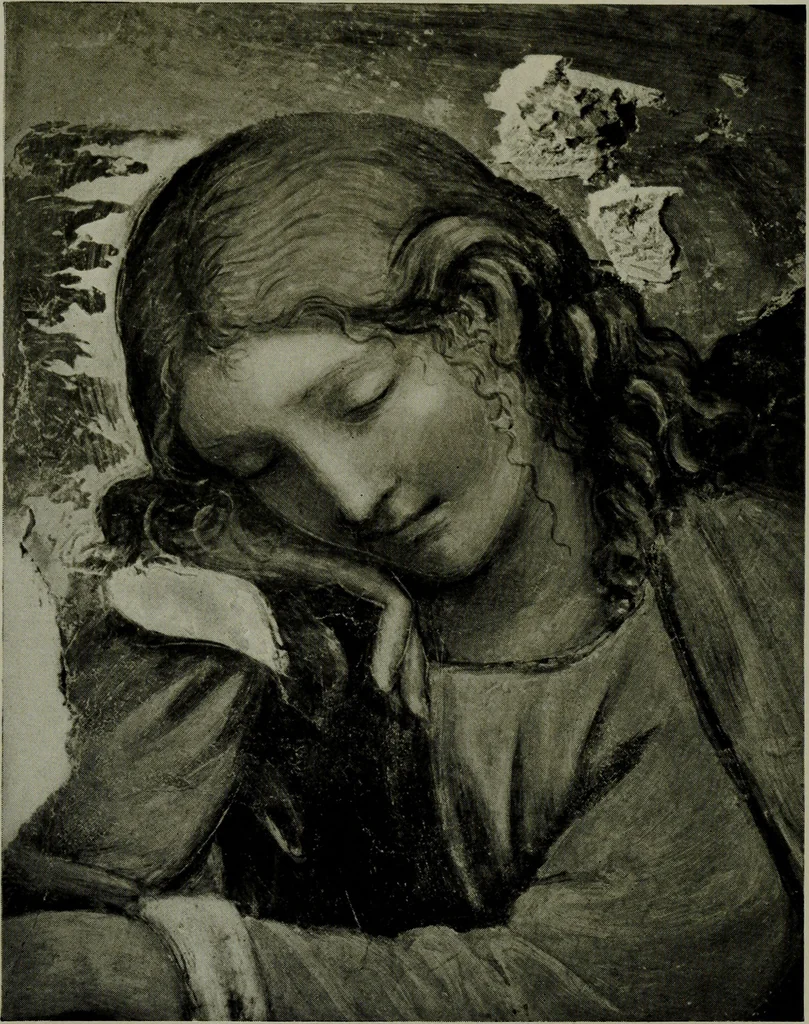 An illustration from Italian cities, 1902, leaf 221