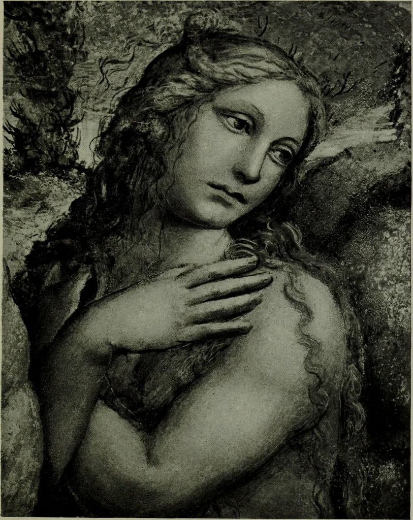 An illustration from Italian cities, 1902, leaf 242