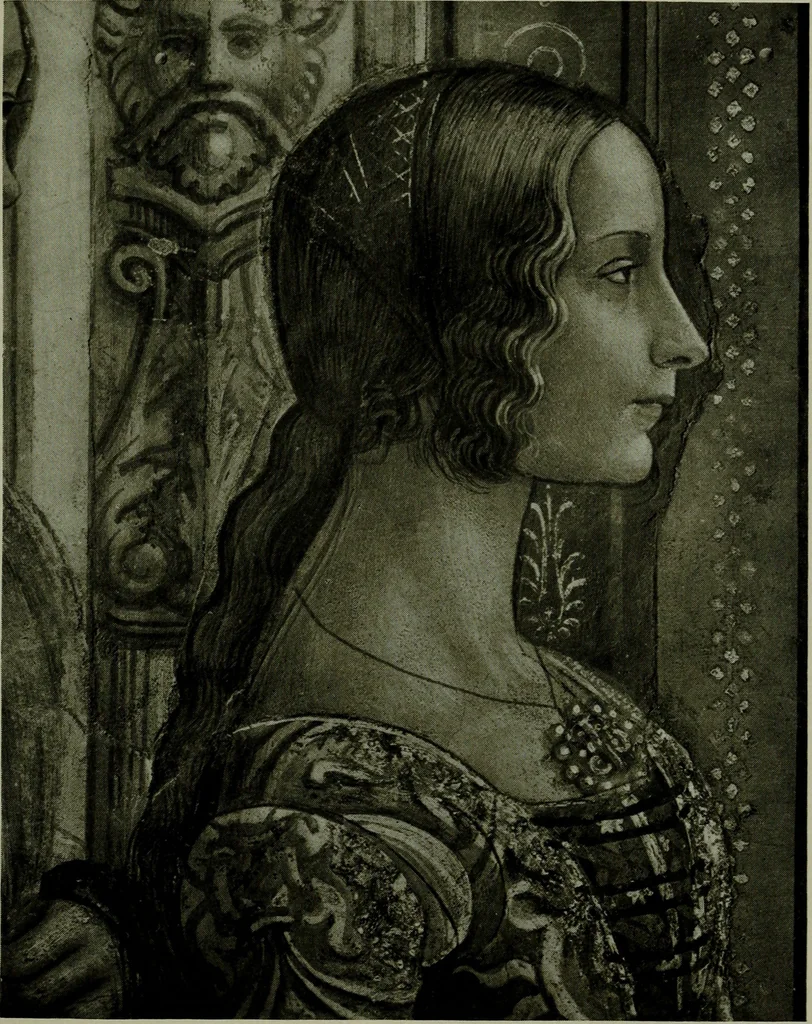 An illustration from Italian cities, 1902, leaf 262
