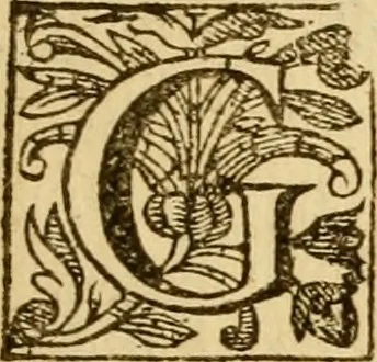 An illustration from The Italian convert : newes from Italy of a second Moses; or, The life of Galeacivs Caracciolvs, the noble Marquesse of Vico. Containing the story of his admirable conversion from popery ..., 1635, leaf 10