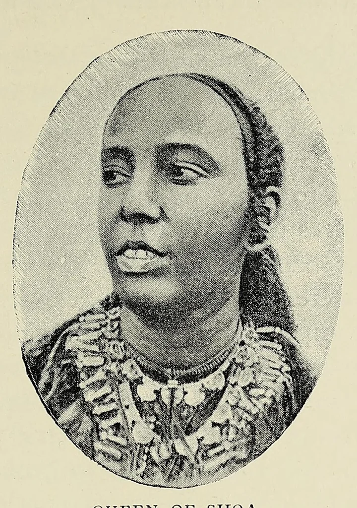 An illustration from Italian explorers in Africa, 1891, leaf 77