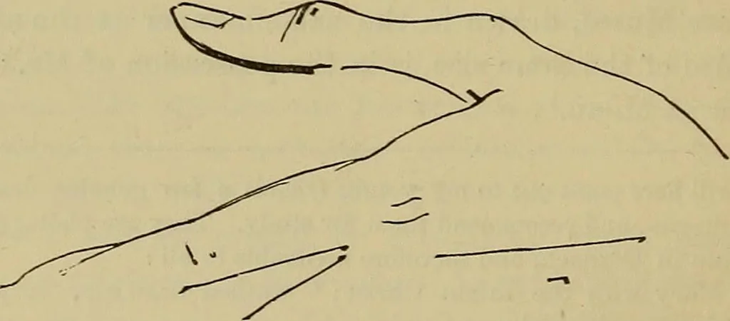 An illustration from Italian masters in German galleries. A critical essay on the Italian pictures in the galleries of Munich, Dresden, Berlin;, 1883, leaf 101