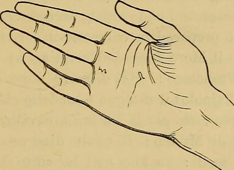 An illustration from Italian masters in German galleries. A critical essay on the Italian pictures in the galleries of Munich, Dresden, Berlin;, 1883, leaf 102