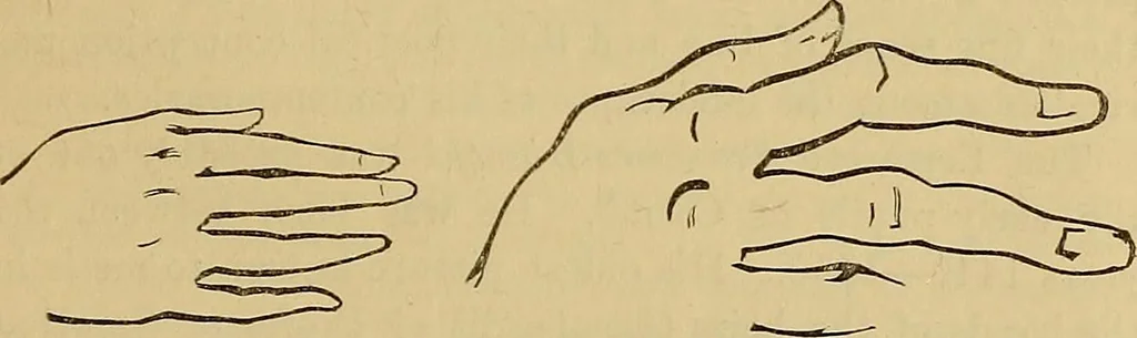 An illustration from Italian masters in German galleries. A critical essay on the Italian pictures in the galleries of Munich, Dresden, Berlin;, 1883, leaf 250