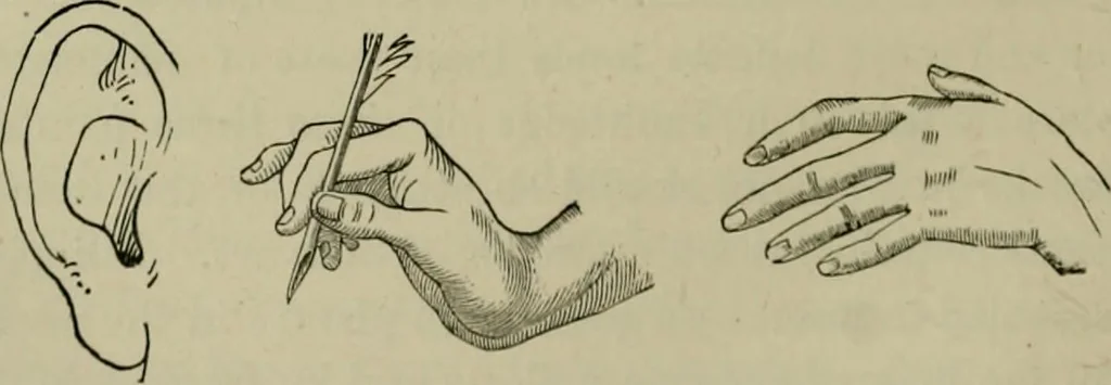 An illustration from Italian painters;, 1892, leaf 157