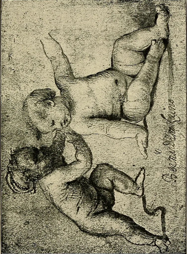 An illustration from Italian painters;, 1892, leaf 128