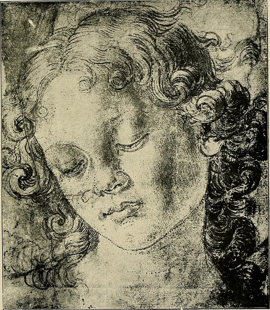 An illustration from Italian painters;, 1892, leaf 356