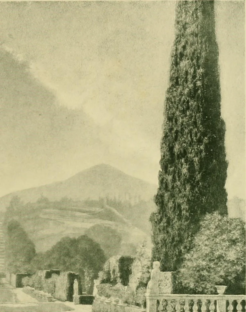 An illustration from Italian villas and their gardens, 1904, leaf 262