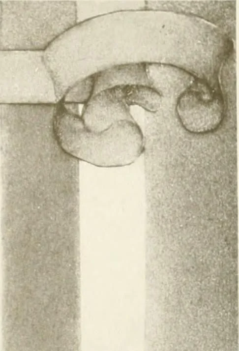 An illustration from Italian villas and their gardens;, 1905, leaf 356