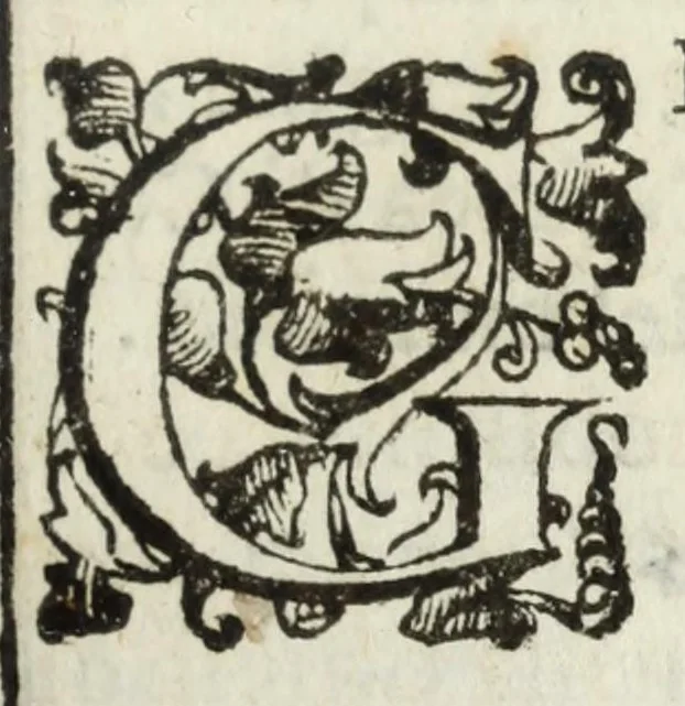 An illustration from I tesori nascosti nell'alma città di Roma, 1600, leaf 305