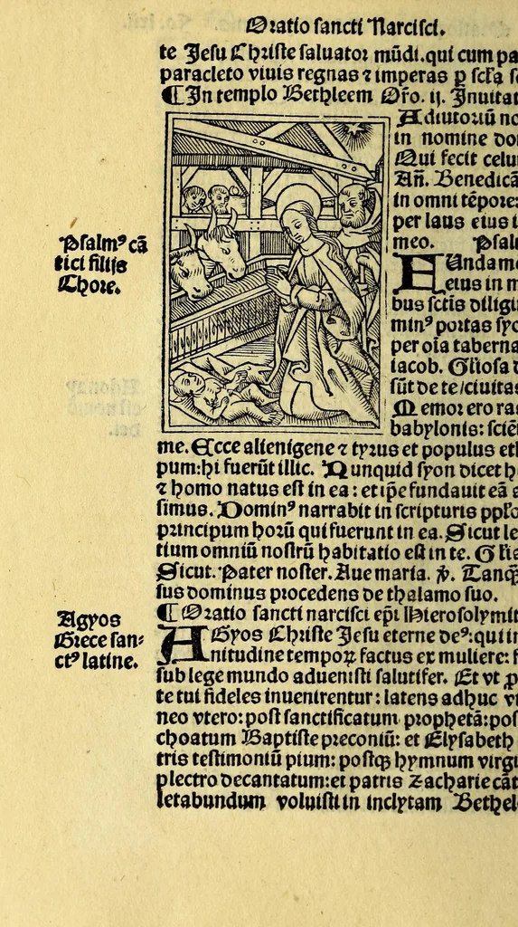 An illustration from Itinerarij terre sancte: inibiq[ue] sacrorum locoru[m]: ac rerum clarissima descriptio: omnibus sacre scripture tractatoribus vtilissima: peramena auditoribus:, 1525, leaf 128