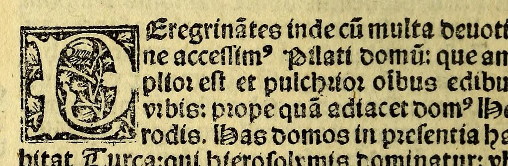An illustration from Itinerarij terre sancte: inibiq[ue] sacrorum locoru[m]: ac rerum clarissima descriptio: omnibus sacre scripture tractatoribus vtilissima: peramena auditoribus:, 1525, leaf 78