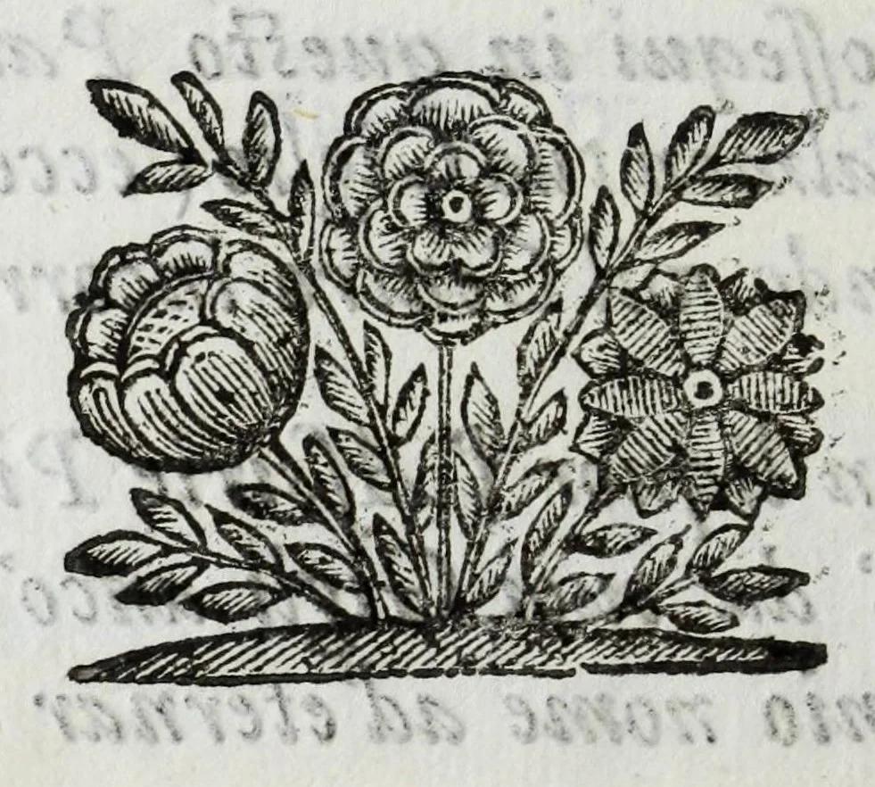 An illustration from Itinerario et sincero racconto del viaggio fatto dall'Altezza Serenissima del signor prencipe di Parma Alessandro Farnese per la Francia, Inghilterra, Olanda, Fiandra, e Spagne : doue di presente vi tiene il posto di capitan generale della caualleria per Sua Maestà Cattolica nell'esercito d'Estremadura contro Portugallo : et vi si contengono viaggi per diuersi regni, & sue distanze : descrittioni delle città principali d'essi, & numero d'habitanti : incoronatione di Carlo II Stuardo rè d'Inghilterra & sua caualcata : battaglie campali & assedij di piazze reali : discorso della republica di Colonia, e suo gouerno democratico : morte & seppoltura di Filippo IIII rè di Spagna, 1666, leaf 10